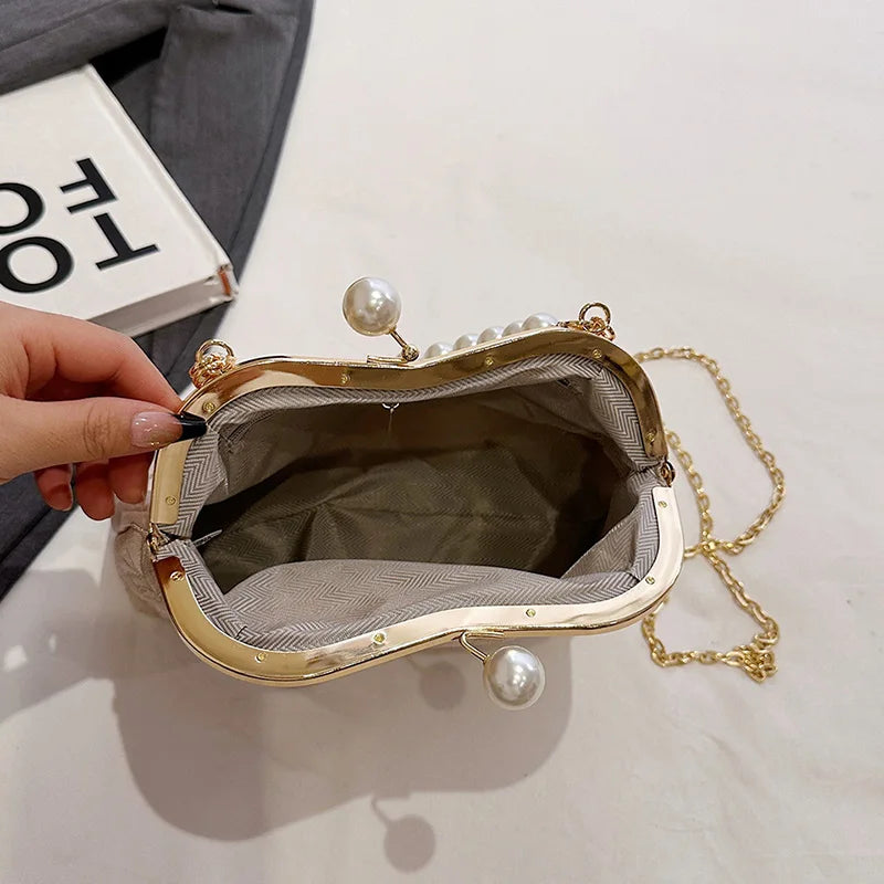 Vintage Embroidered Chain Purse